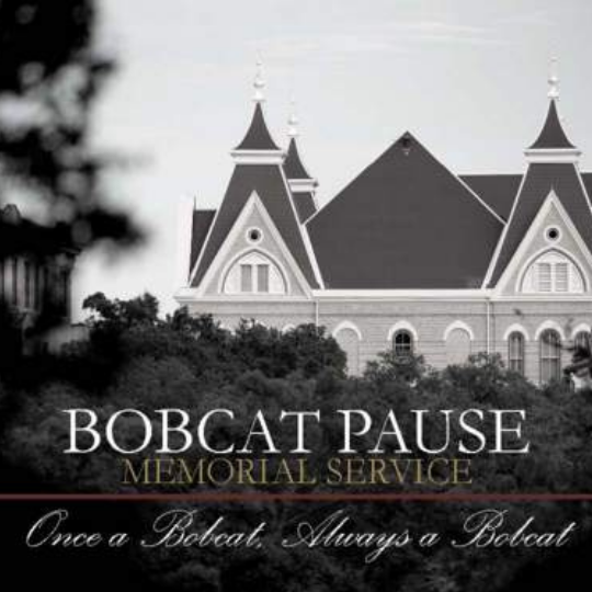 Bobcat Pause